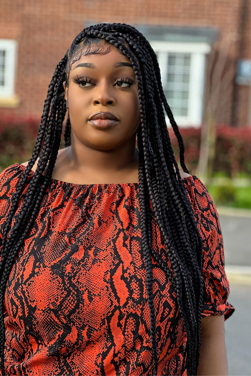 Diana Luxury Braided Wig