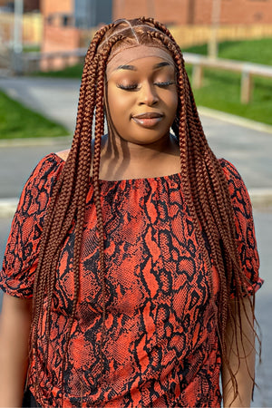 Diana Luxury Braided Wig