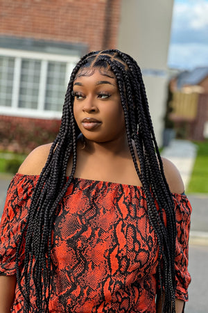 Diana Luxury Braided Wig