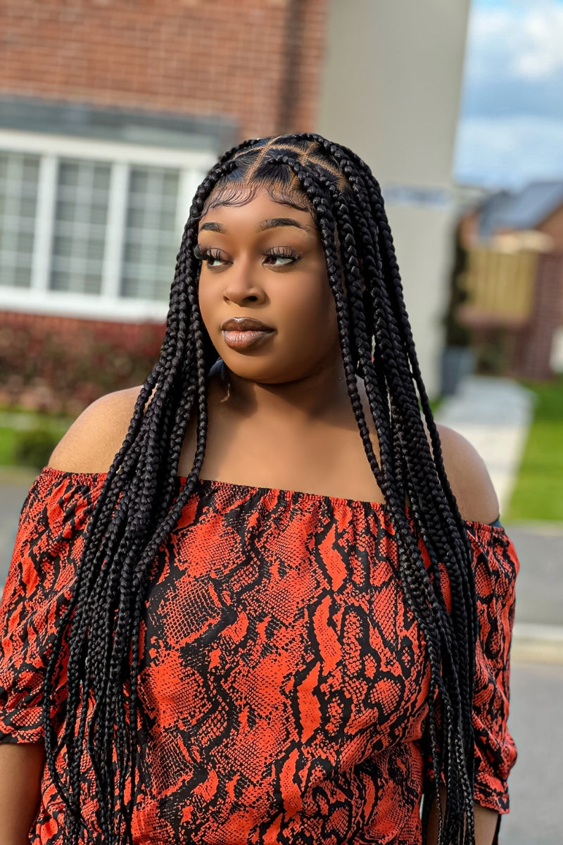 Diana Luxury Braided Wig