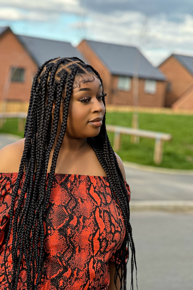 Diana Luxury Braided Wig