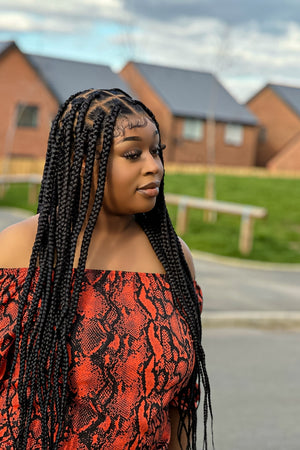 Diana Luxury Braided Wig