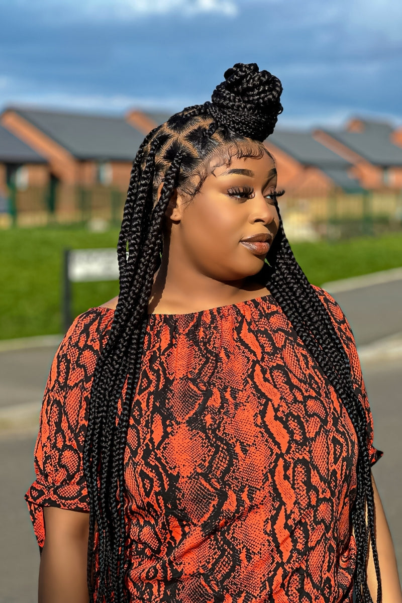 Diana Luxury Braided Wig