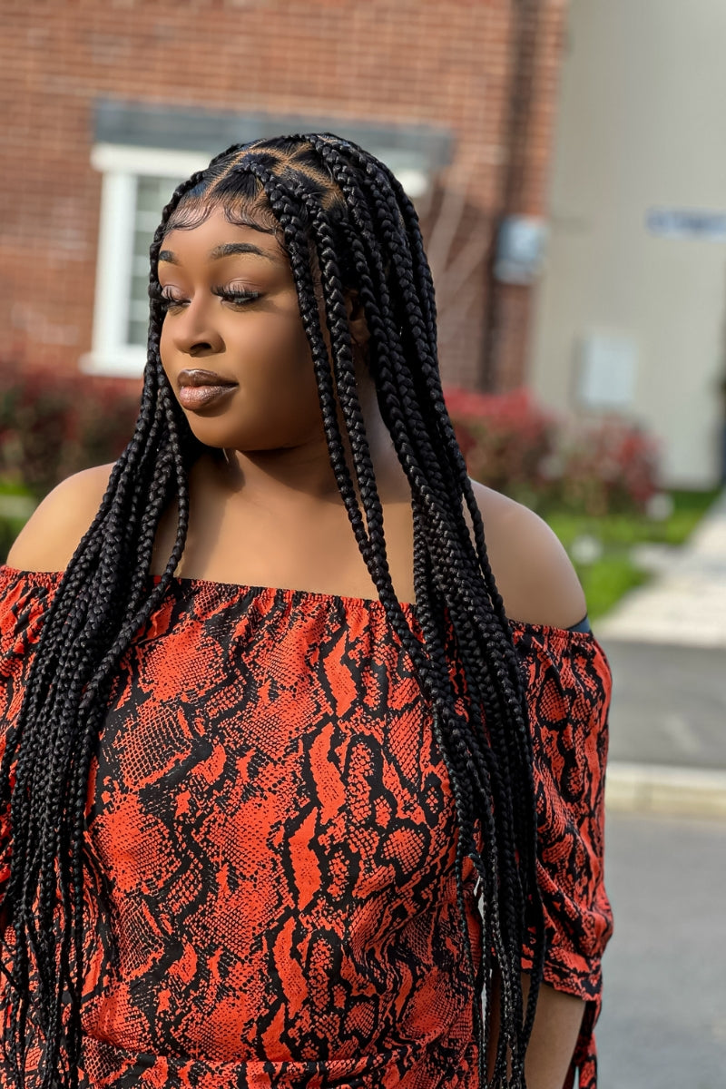 Diana Luxury Braided Wig 